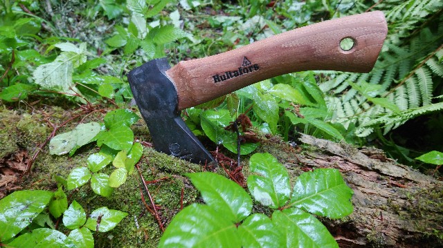 f:id:wanpaku-yaseiji:20200702193532j:image f:id:wanpaku-yaseiji:20200702193532j:image