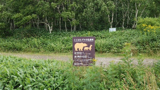 f:id:wanpaku-yaseiji:20200906232954j:image f:id:wanpaku-yaseiji:20200906232954j:image