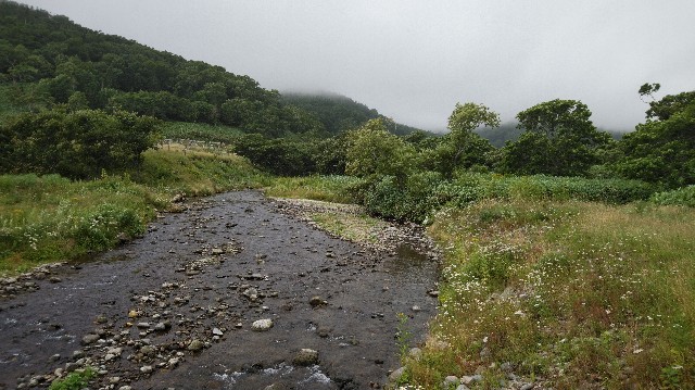 f:id:wanpaku-yaseiji:20200909123109j:image f:id:wanpaku-yaseiji:20200909123109j:image