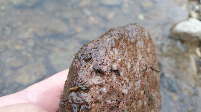 f:id:wanpaku-yaseiji:20200909124148j:image f:id:wanpaku-yaseiji:20200909124148j:image