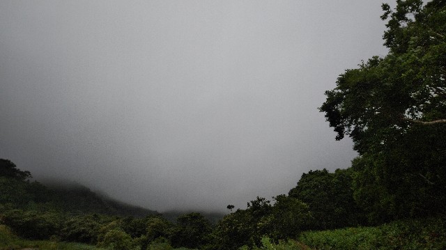 f:id:wanpaku-yaseiji:20200910005328j:image f:id:wanpaku-yaseiji:20200910005328j:image