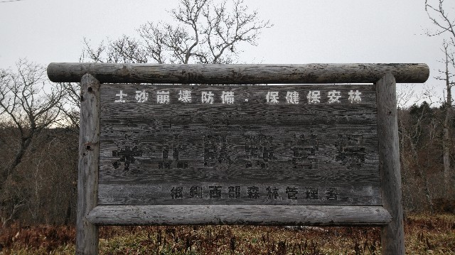 f:id:wanpaku-yaseiji:20201202123850j:image f:id:wanpaku-yaseiji:20201202123850j:image