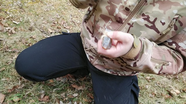 f:id:wanpaku-yaseiji:20201218122302j:image