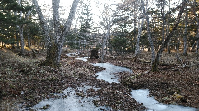 f:id:wanpaku-yaseiji:20210112210402j:image f:id:wanpaku-yaseiji:20210112210402j:image