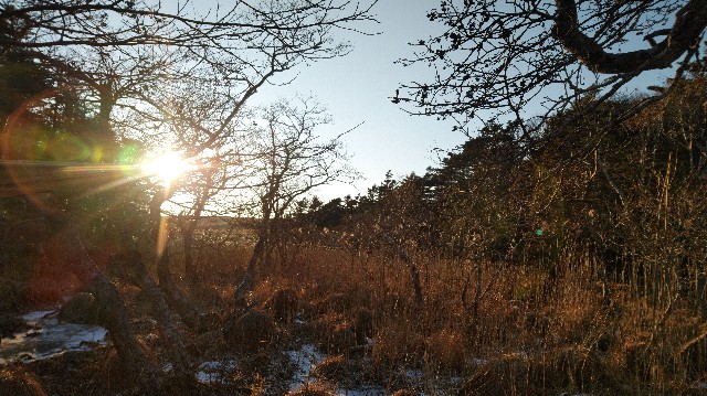 f:id:wanpaku-yaseiji:20210112223630j:image f:id:wanpaku-yaseiji:20210112223630j:image