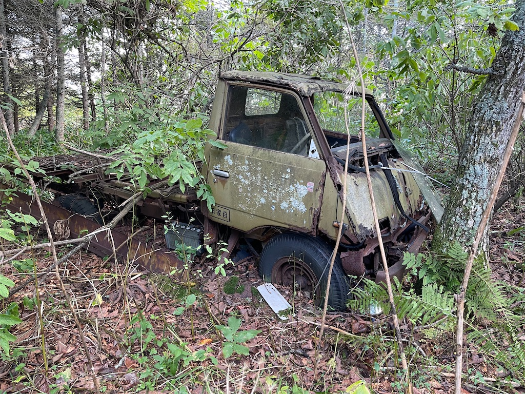 f:id:wanpaku-yaseiji:20211020031243j:image f:id:wanpaku-yaseiji:20211020031243j:image