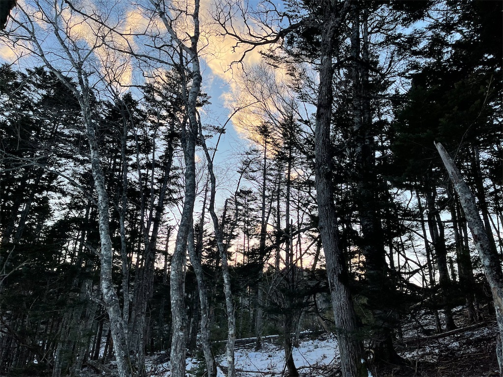 f:id:wanpaku-yaseiji:20220207100307j:image f:id:wanpaku-yaseiji:20220207100307j:image