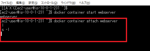 Docker コンテナ接続におけるattach と Exec 番外編 Seワンタンの独学備忘録