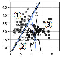 f:id:wantanBlog:20200430232341p:plain