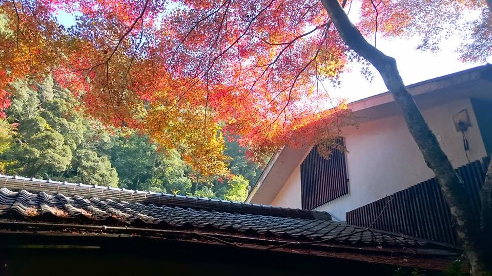 f:id:wantiu:20161116031046j:plain
