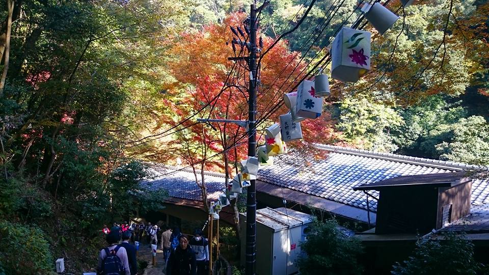 f:id:wantiu:20161116031057j:plain