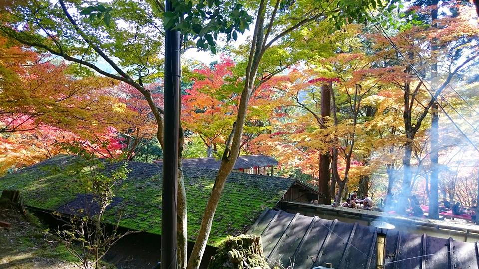 f:id:wantiu:20161116031516j:plain