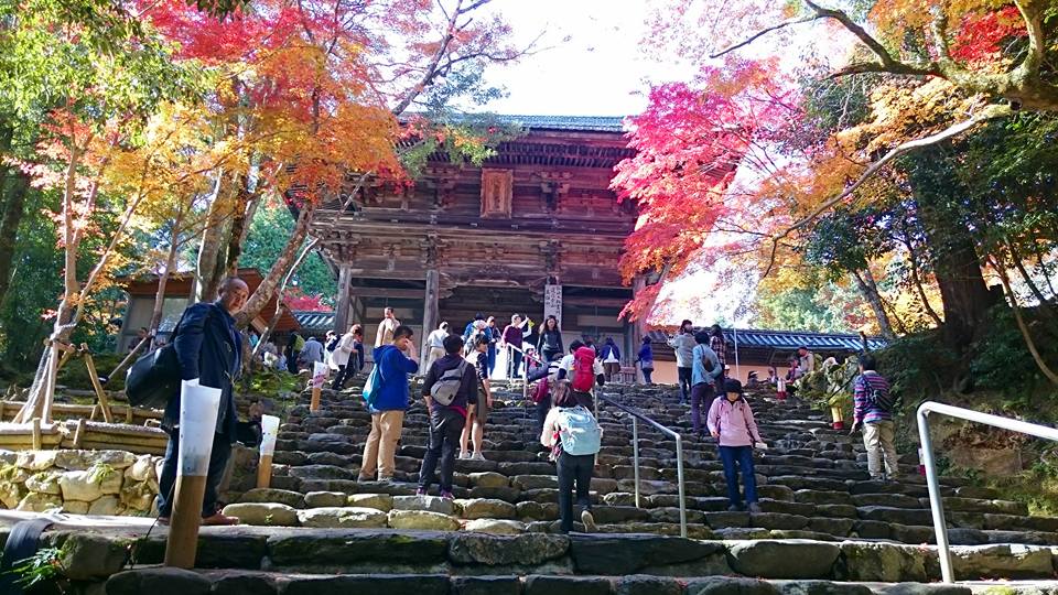 f:id:wantiu:20161116031620j:plain