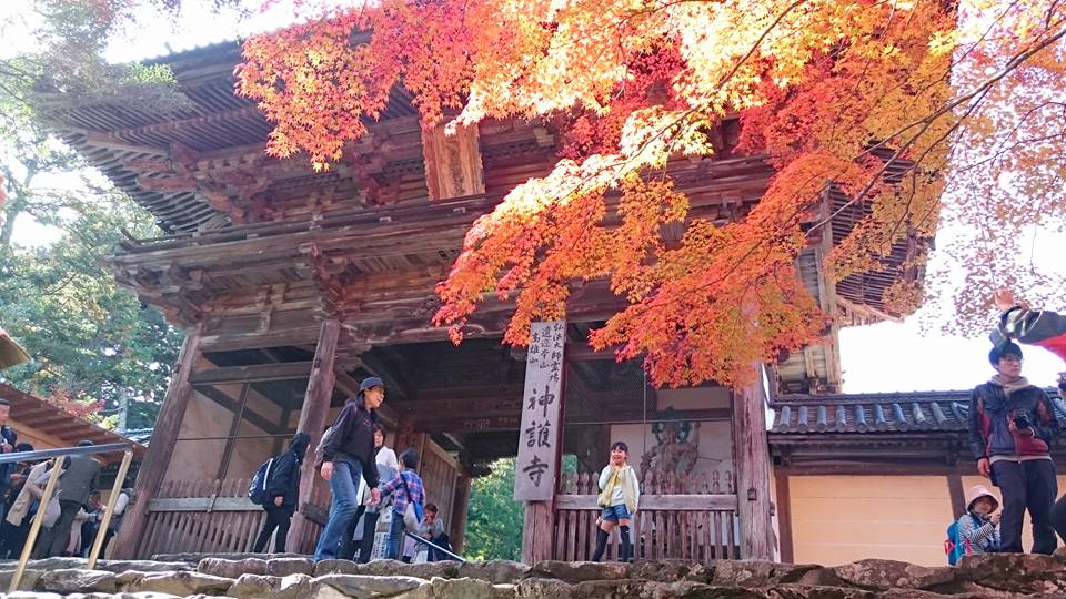 f:id:wantiu:20161116032049j:plain