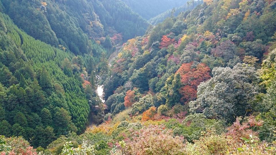 f:id:wantiu:20161116032814j:plain