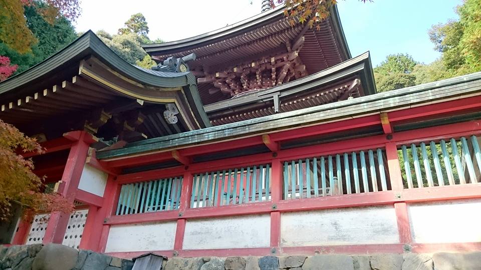 f:id:wantiu:20161116033851j:plain