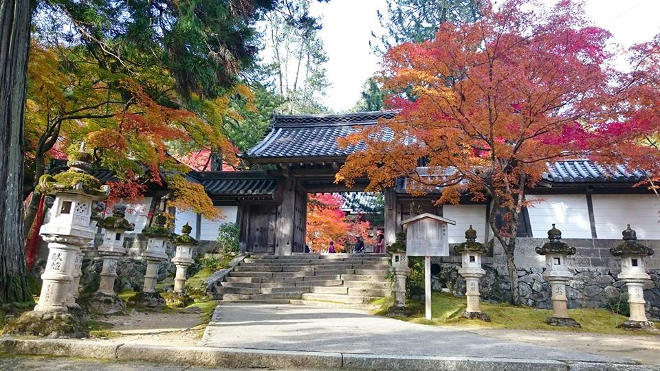 f:id:wantiu:20161116034800j:plain