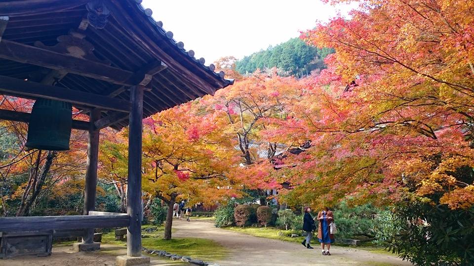 f:id:wantiu:20161116035032j:plain