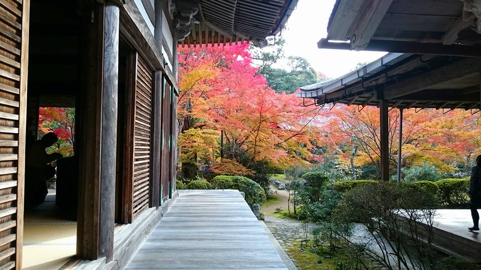 f:id:wantiu:20161116035542j:plain