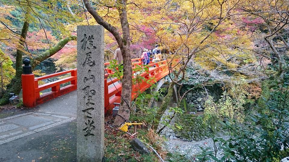 f:id:wantiu:20161116035827j:plain