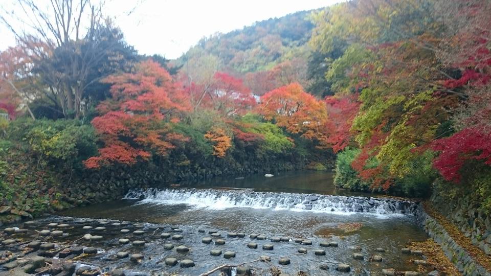 f:id:wantiu:20161123014546j:plain