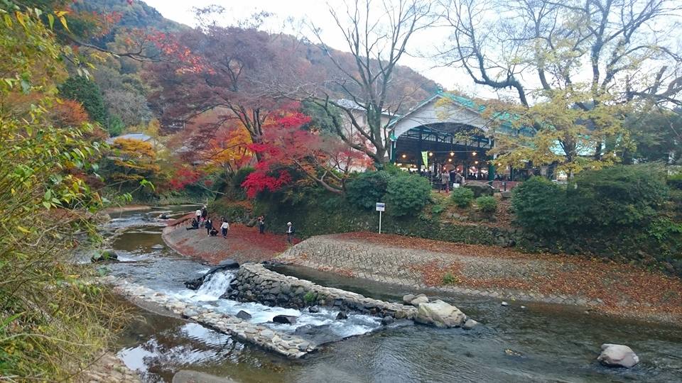 f:id:wantiu:20161123014720j:plain