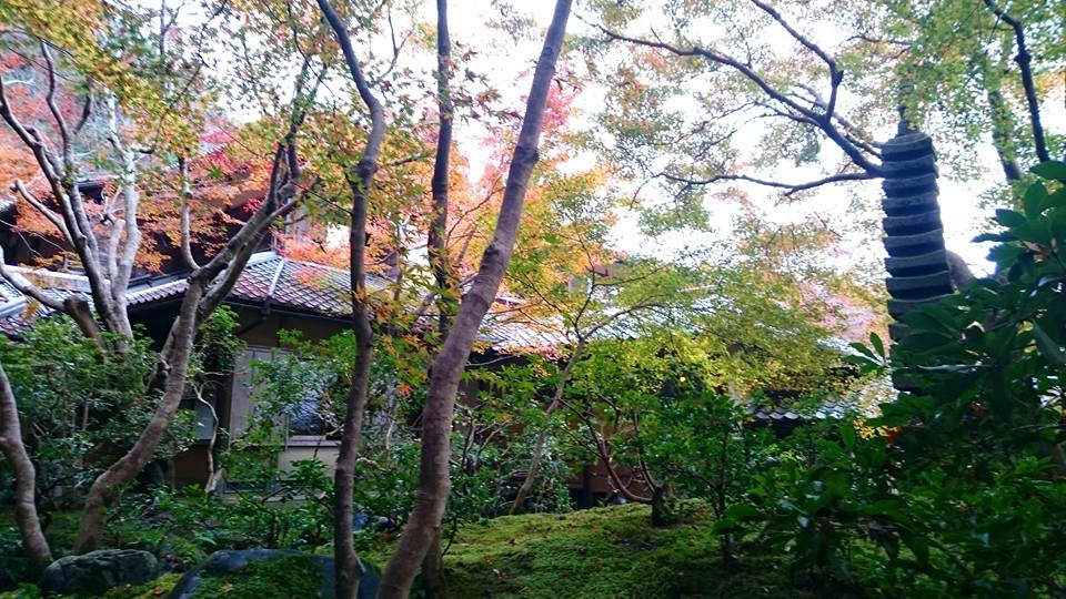 f:id:wantiu:20161123015654j:plain