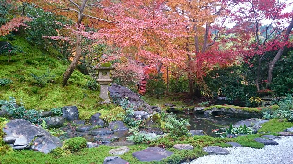 f:id:wantiu:20161123022533j:plain