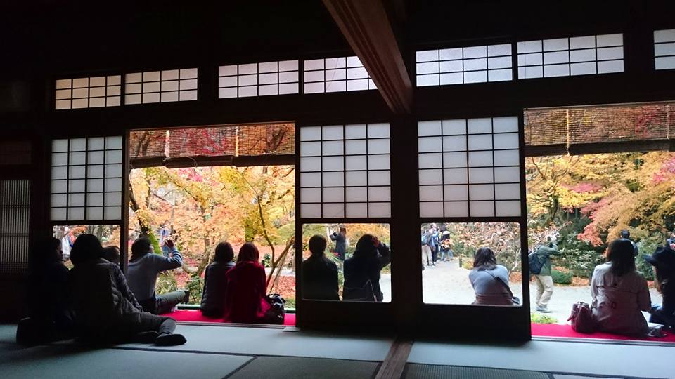 f:id:wantiu:20161123030622j:plain