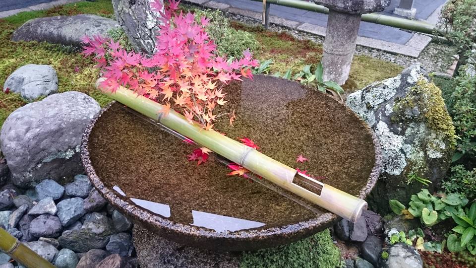 f:id:wantiu:20161123031608j:plain