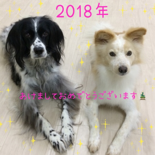 f:id:wantosiawase:20180102180345j:plain
