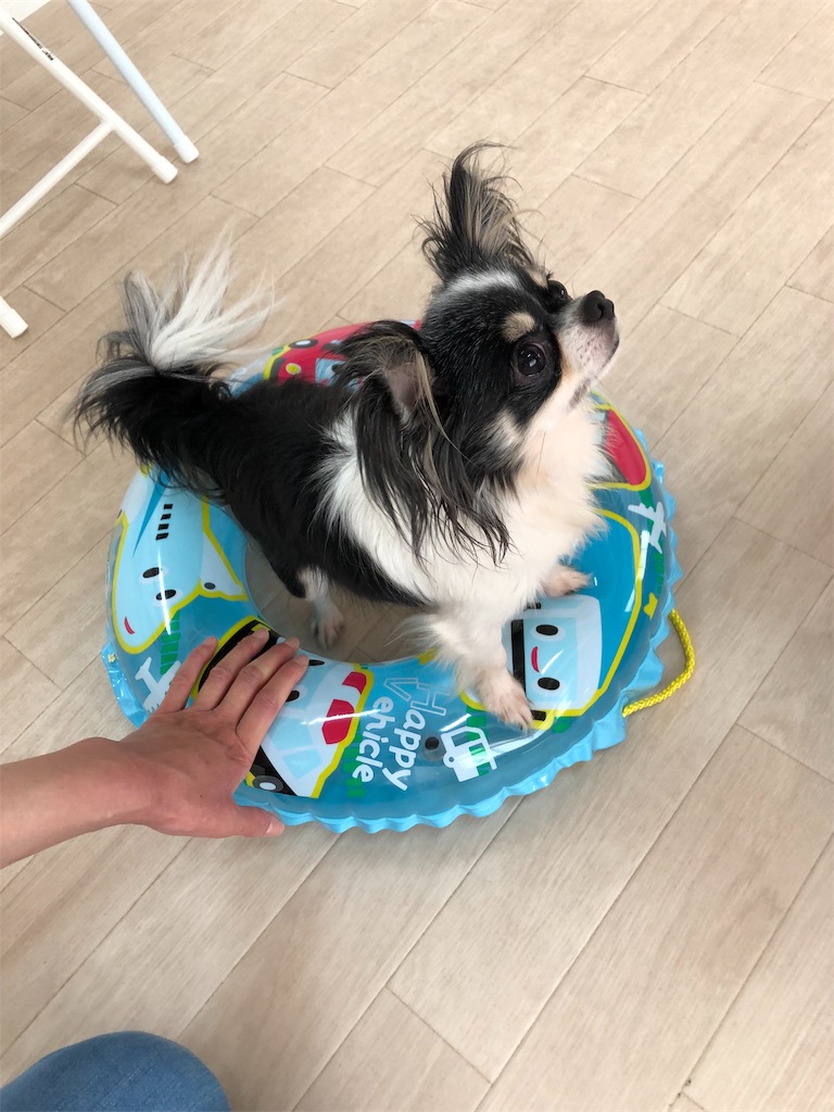 f:id:wantosiawase:20190812211311j:image
