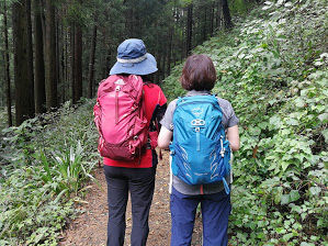ドイターのザック フューチュラ24を嫁に出す 小型ザック買いなおしの旅のはじまり 山 ときどき仕事