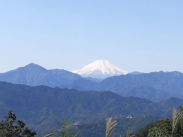 f:id:wanwan-san:20181111085357j:plain