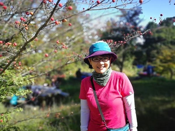 f:id:wanwan-san:20181111085406j:plain