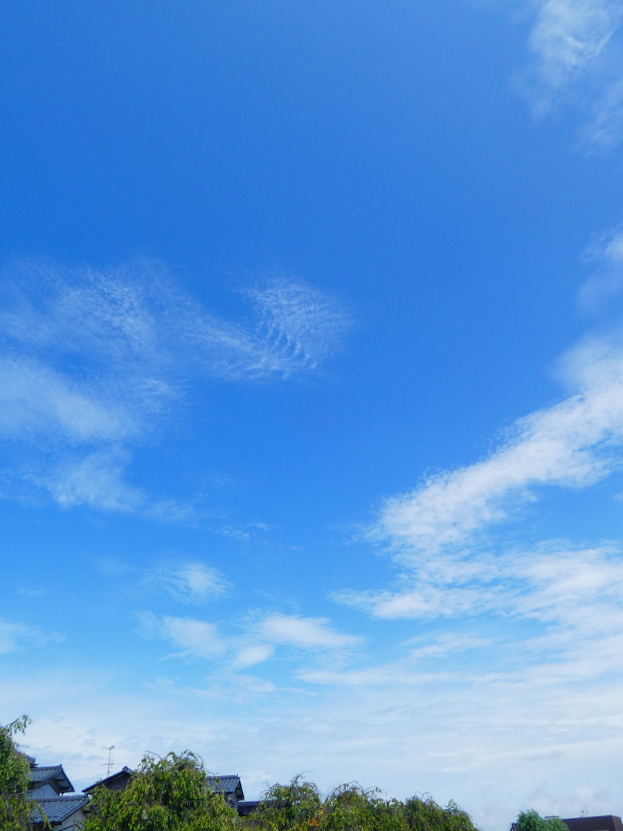f:id:wanwanhanasan:20190903120719j:plain f:id:wanwanhanasan:20190903120719j:plain