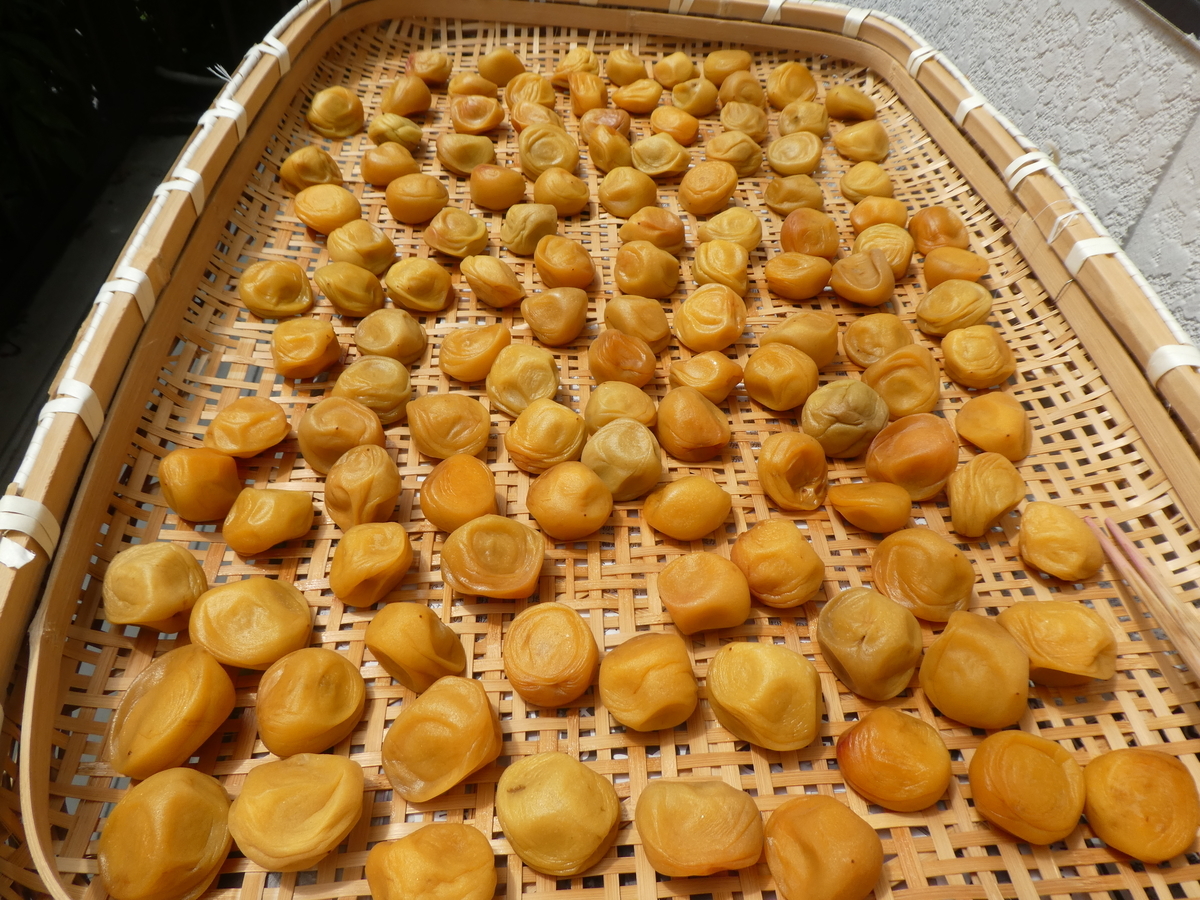 f:id:wanwanhanasan:20200804120839j:plain f:id:wanwanhanasan:20200804120839j:plain