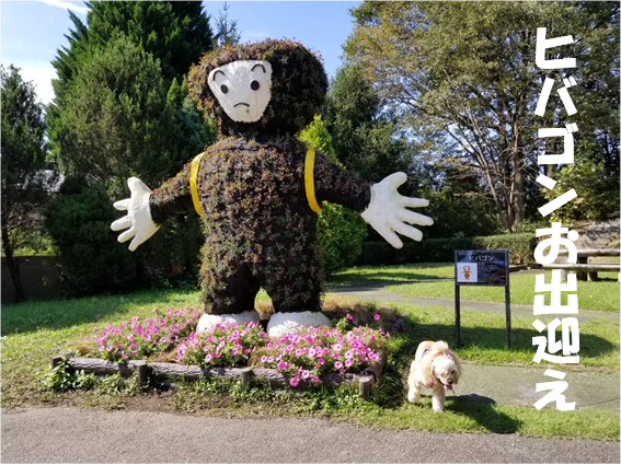 f:id:wanwankazoku:20191008003649p:plain f:id:wanwankazoku:20191008003649p:plain