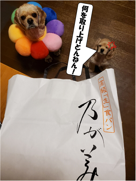 f:id:wanwankazoku:20200613183910p:plain f:id:wanwankazoku:20200613183910p:plain