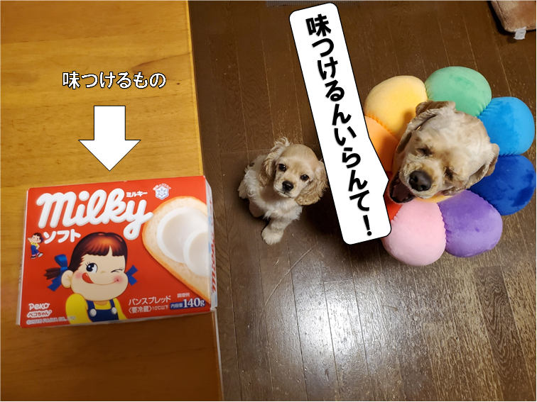 f:id:wanwankazoku:20200613184617p:plain f:id:wanwankazoku:20200613184617p:plain