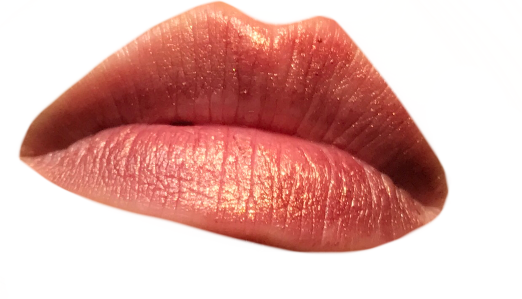 f:id:wanwano_0404:20170122170235p:plain