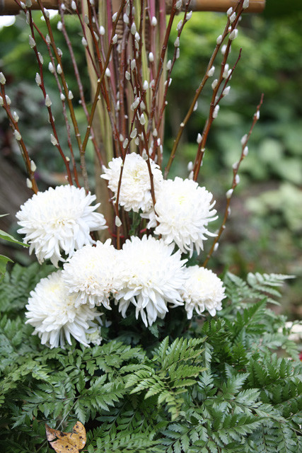 f:id:wanwanwan_99:20081231155911j:image f:id:wanwanwan_99:20081231155911j:image