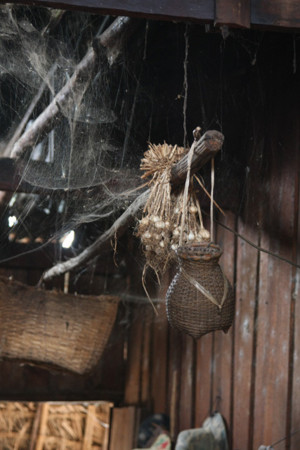f:id:wanwanwan_99:20091024102421j:image:left f:id:wanwanwan_99:20091024102421j:image:left