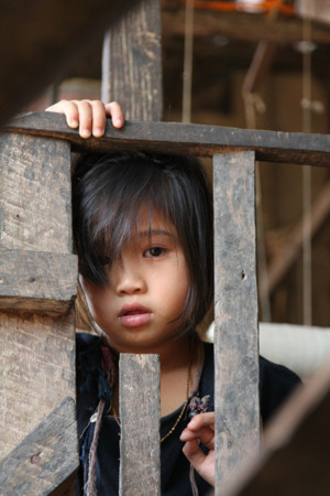 f:id:wanwanwan_99:20091024103707j:image:right f:id:wanwanwan_99:20091024103707j:image:right