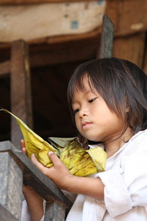 f:id:wanwanwan_99:20091024103804j:image:left f:id:wanwanwan_99:20091024103804j:image:left