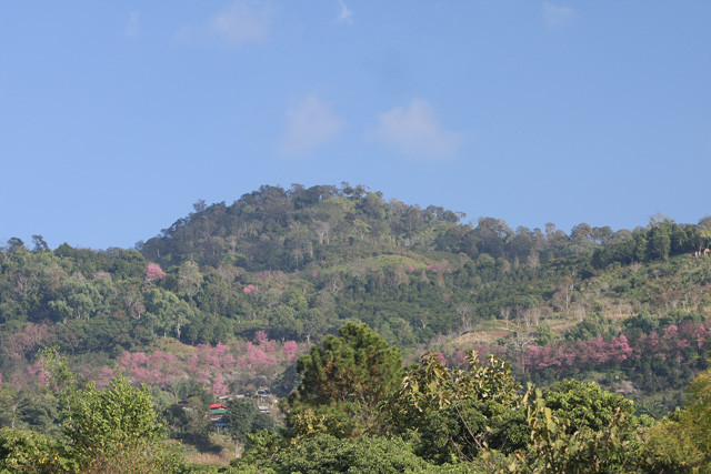 f:id:wanwanwan_99:20091230161331j:image f:id:wanwanwan_99:20091230161331j:image