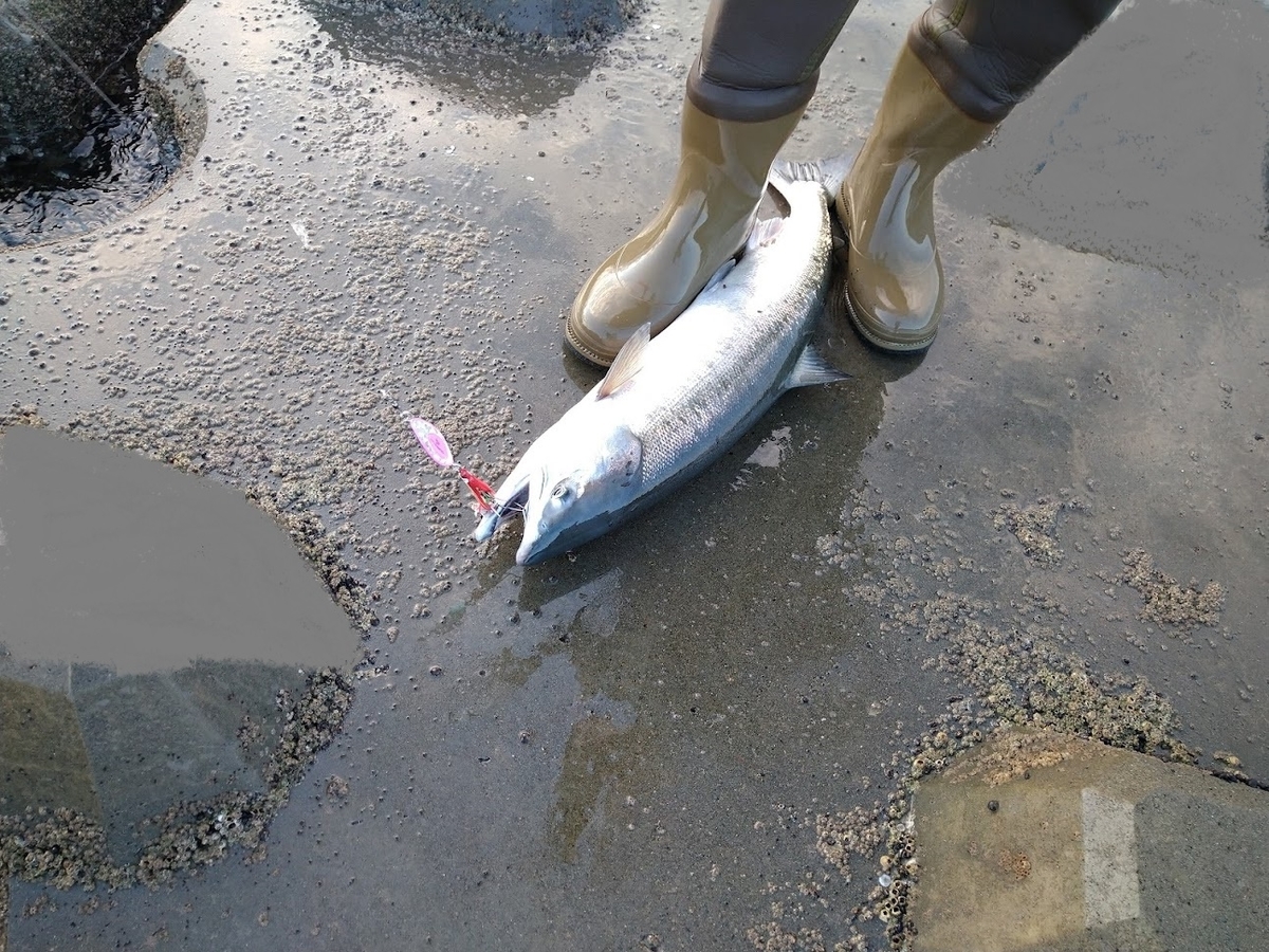 f:id:wao6565:20210904200134j:plain