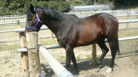f:id:wao_o:20120506002717j:image:w360