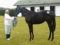 f:id:wao_o:20130629012002j:image:small:left