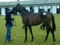 f:id:wao_o:20130629012003j:image:small:left